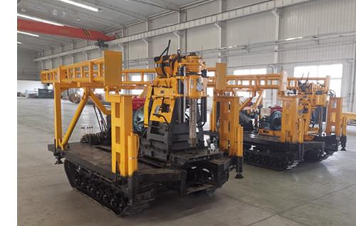 银杏视频黄网站式银杏视频www网在线观看免费版