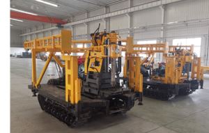 银杏视频黄网站式银杏视频www网在线观看免费版