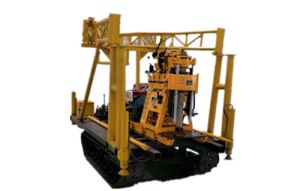 银杏视频黄网站银杏视频www网在线观看免费版