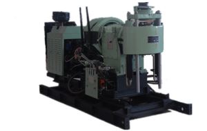 水井银杏视频www网在线观看免费版