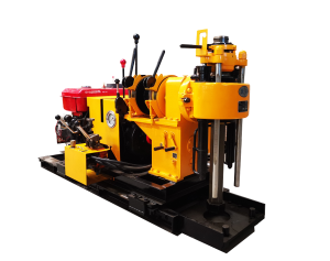 XY-2型银杏视频www网在线观看免费版